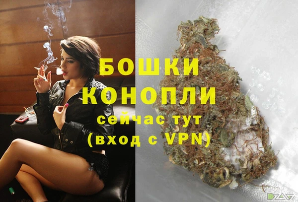 бошки Арсеньев
