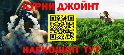 apvp Краснодар