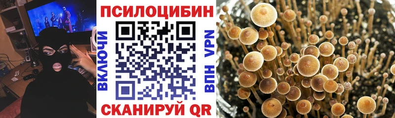 Галлюциногенные грибы Magic Shrooms  Кирово-Чепецк 