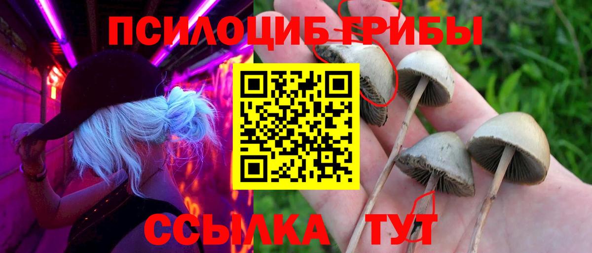 Галлюциногенные грибы MAGIC MUSHROOMS  Вход с VPN  Кирово-Чепецк  Галлюциногенные грибы GOLDEN TEACHER 